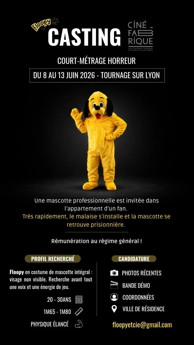 Affiche du projet