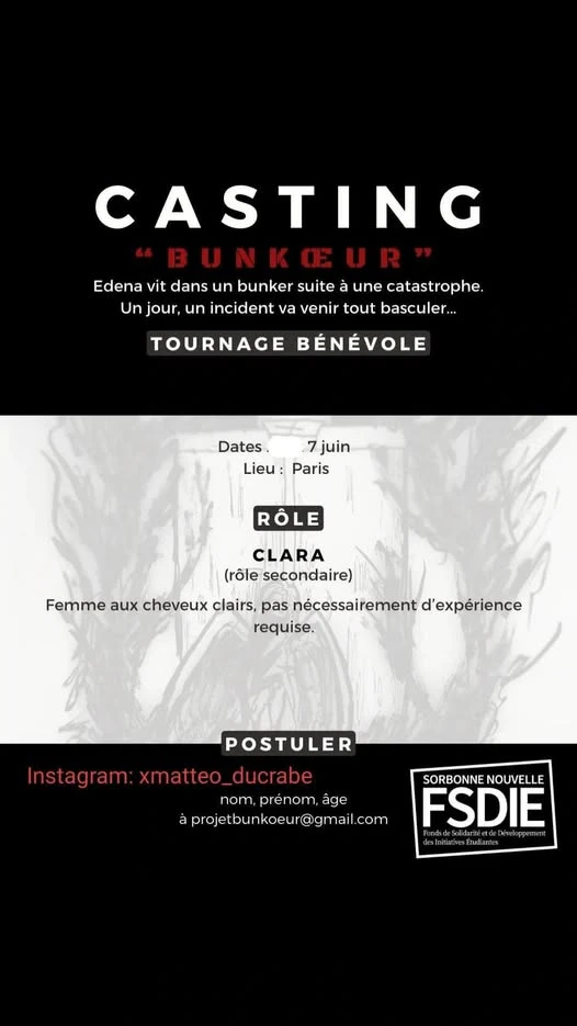Affiche du projet