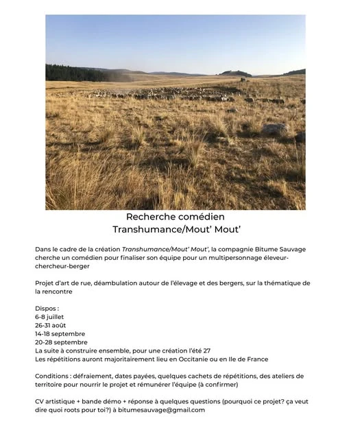 Affiche du projet