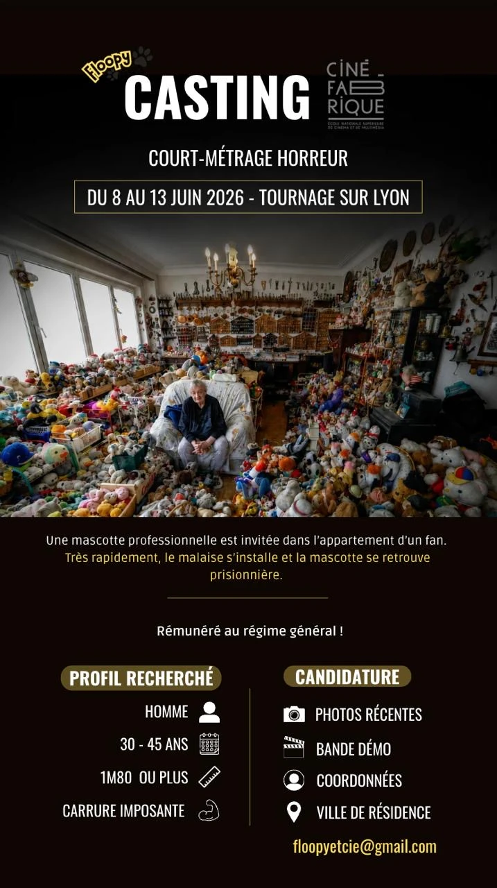 Affiche du projet